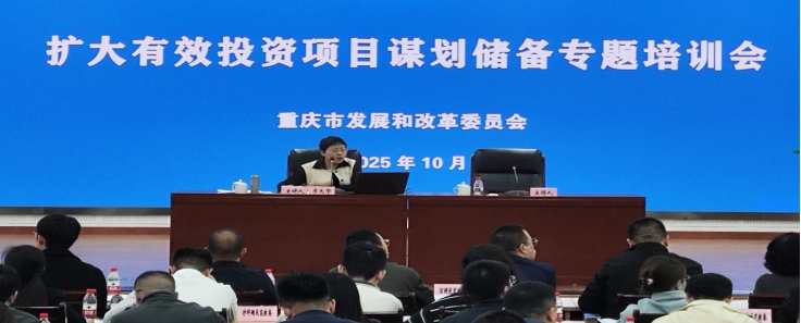 市发展改革委组织开展扩大有效投资项目谋划储备专题培训693.png